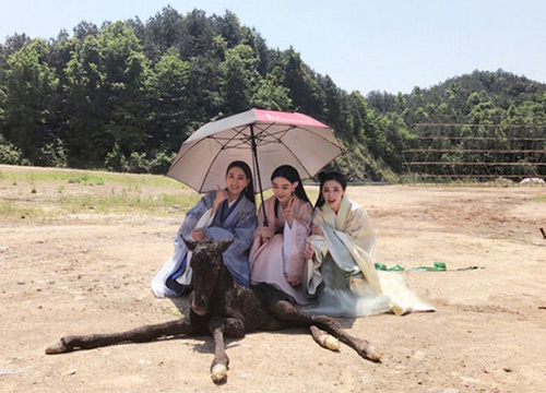 出游季夏曰炎炎，草帽加連衣裙絕對是標(biāo)配，暑期防曬全攻略！